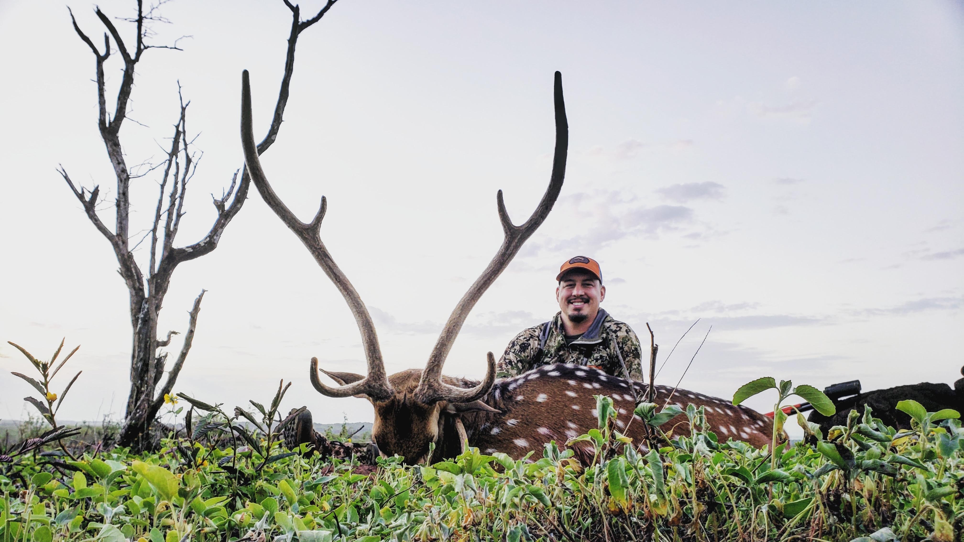 Central Texas Big Axis Hunt Reviewspittube Search Result - qpa1obp