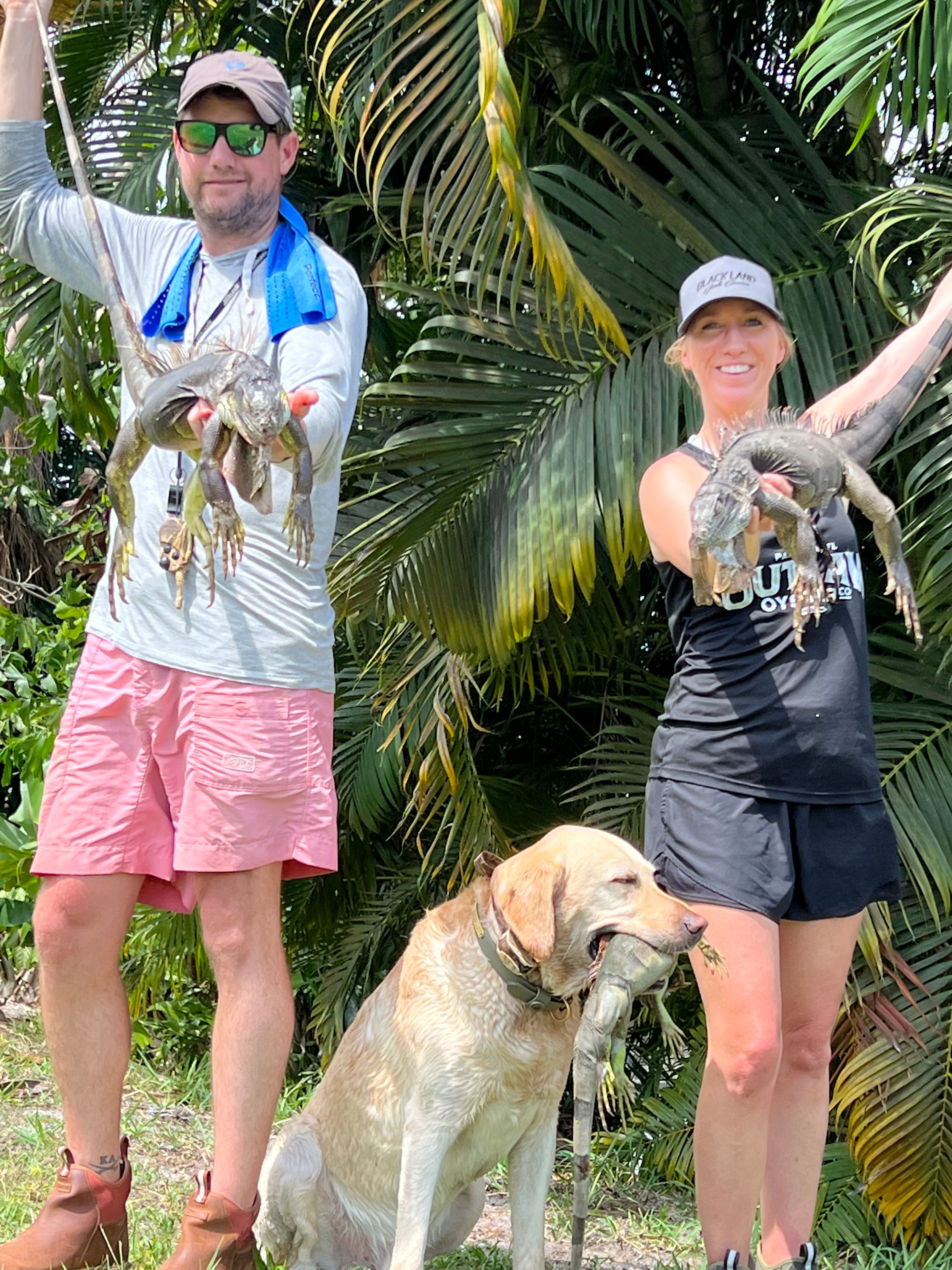 Iguana hunting for monsters Outguided