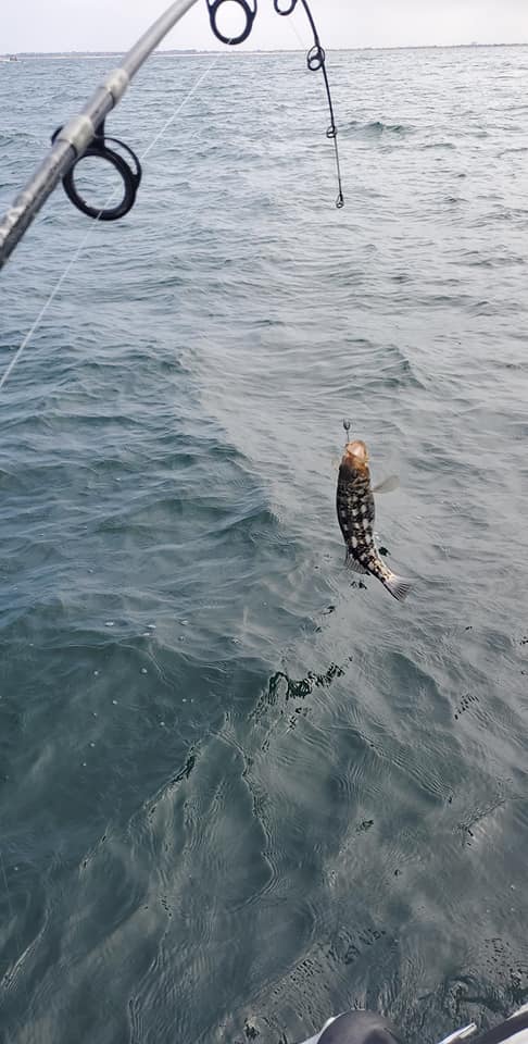 Full Day Lobster Fishing Charter Off the Coast of Long Beach | Outguided