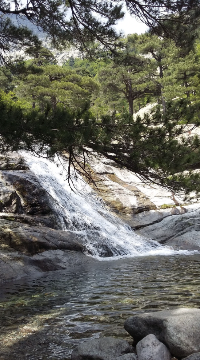 Alta Roca Day Trip Finding Hidden Treasures of Alta Rocca in Corsica | Outguided