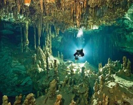 8-Hour 2-Tank Cenote Cave Dive for Certified Divers | Outguided