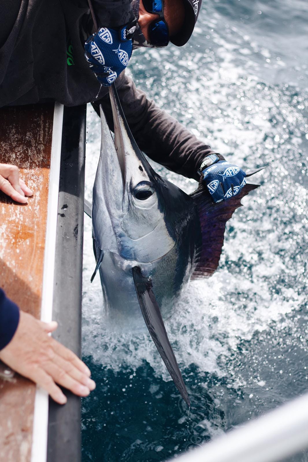 8 Hour Big Game Fishing Tour Off the Coast of Portugal Outguided