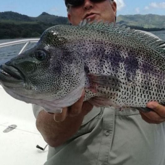 coolest fishing poles The 8 best fishing rods and poles of 2023, per experts