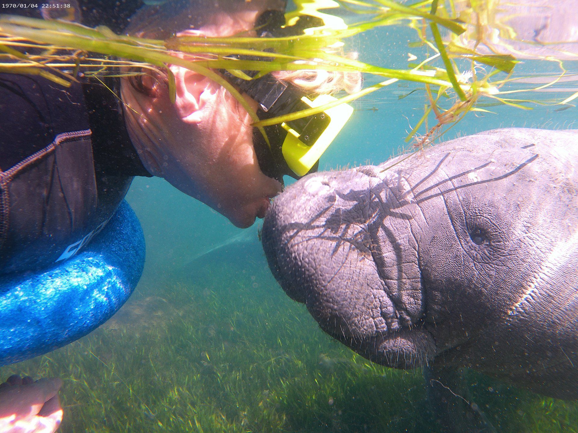 4 Hour Manatee Mania Shared Boat Tour in Crystal River | Outguided