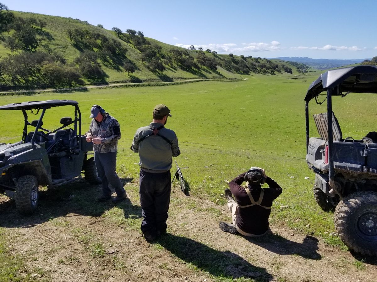 1 Day Varmint and Predator Hunting in California Outguided